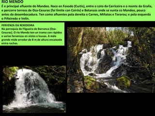 FERVENZA DA REXEDOIRA
Na parroquia de Filgueira de Barranca (Oza-
Cesuras). O río Mendo ten un tramo con rápidos
e varias fervenzas en xistos e lousas. A máis
grande mide arredor de 8 m de altura encaixada
entra rochas.
RÍO MENDO
É o principal afluente do Mandeo. Nace en Foxado (Curtis), entre o coto da Carriceira e o monte da Graña,
e percorre terreos de Oza-Cesuras (fai límite con Coirós) e Betanzos onde se xunta co Mandeo, pouco
antes da desembocadura. Ten como afluentes pola dereita o Carnes, Miñatos e Torarou; e pola esquerda
o Piñeiredo e Velín.
 