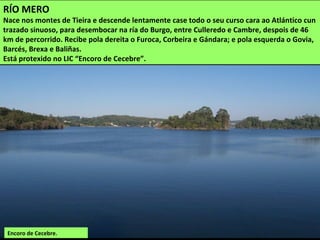 Encoro de Cecebre.
RÍO MERO
Nace nos montes de Tieira e descende lentamente case todo o seu curso cara ao Atlántico cun
trazado sinuoso, para desembocar na ría do Burgo, entre Culleredo e Cambre, despois de 46
km de percorrido. Recibe pola dereita o Furoca, Corbeira e Gándara; e pola esquerda o Govia,
Barcés, Brexa e Baliñas.
Está protexido no LIC “Encoro de Cecebre”.
 