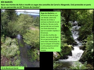 O río Barcés en Carral.
RÍO BARCÉS
Nace nos montes do Xalo e recolle as augas dos concellos de Carral e Abegondo. Está protexido en parte
do seu percorrido no LIC “Encoro de Cecebre”.
Rego de Abelleira, un
afluente do Barcés que
cae desde a beira da
Meseta de Ordes e
xúntase ao Barcés no val
da Barcia. No seu curto
percorrido ten un tramo
cun forte desnivel no
que se suceden rápidos e
fervenzas.
A ruta dos muíños do
Batán, na costa da Égoa
fai un percorrido pola
zona máis interesante na
que se atopan 14 muíños
e unha pequena central
eléctrica, cun Eco-
museo.
 