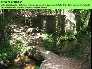 REGO DE XESTEIRAS.
Unha das cabeceiras do Baliñas (afluente do Mandeo) que baixa do Xalo. Entre Celas e A Hemida hai unha
ruta indicada pola súa beira que pasa por once muíños.
 