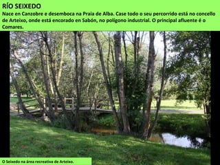 O Seixedo na área recreativa de Arteixo.
RÍO SEIXEDO
Nace en Canzobre e desemboca na Praia de Alba. Case todo o seu percorrido está no concello
de Arteixo, onde está encorado en Sabón, no polígono industrial. O principal afluente é o
Comares.
 