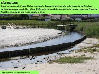 O río Sisalde na súa desembocadura.
RÍO SISALDE
Nace no monte de Pedra Maior e, despois dun curto percorrido polo concello de Arteixo,
desemboca na praia de Barrañán. Unha ruta de sendeirismo permite percorrelo ata a fraga de
Sisalde, situada no seu curso medio e alto.
 