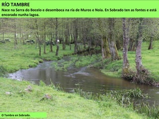 RÍO TAMBRE
Nace na Serra do Bocelo e desemboca na ría de Muros e Noia. En Sobrado ten as fontes e está
encorado nunha lagoa.
O Tambre en Sobrado.
 