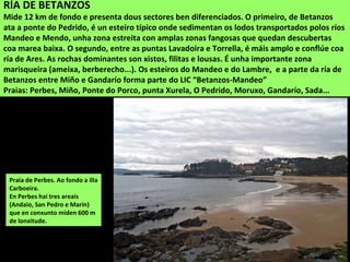 Praia de Perbes. Ao fondo a illa
Carboeira.
En Perbes hai tres areais
(Andaio, San Pedro e Marín)
que en conxunto miden 600 m
de lonxitude.
RÍA DE BETANZOS
Mide 12 km de fondo e presenta dous sectores ben diferenciados. O primeiro, de Betanzos
ata a ponte do Pedrido, é un esteiro típico onde sedimentan os lodos transportados polos ríos
Mandeo e Mendo, unha zona estreita con amplas zonas fangosas que quedan descubertas
coa marea baixa. O segundo, entre as puntas Lavadoira e Torrella, é máis amplo e conflúe coa
ría de Ares. As rochas dominantes son xistos, filitas e lousas. É unha importante zona
marisqueira (ameixa, berberecho...). Os esteiros do Mandeo e do Lambre, e a parte da ría de
Betanzos entre Miño e Gandarío forma parte do LIC “Betanzos-Mandeo”
Praias: Perbes, Miño, Ponte do Porco, punta Xurela, O Pedrido, Moruxo, Gandarío, Sada...
 