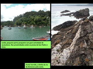 Lorbé, pequeno porto pesqueiro con gran actividade de
acuicultura. Nas proximidades están as praias de San Pedro e
Cirro.
Punta Torrella, o límite da ría
de Betanzos polo oeste.
 