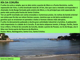 Santa Cruz (Oleiros)
RÍA DA CORUÑA
É unha ría curta e ampla, que se abre entre a punta de Mera e a Punta Herminia, cunha
separación de 4 km, e unha lonxitude total de 14 km, dos que case a metade corresponden á
chamada ría do Burgo formada polo esteiro do Mero, o río principal que está separada da
parte máis ancha pola frecha de Santa Cristina.
Ten un perfil recortado con varias enseadas e numerosas praias. As rochas da banda oriental
son xistos que lle dan ao releve formas suaves, mentras que as da beira occidental son
granitos que se erosionan en penedos e bolos e forman releves máis abruptos.
É unha ría densamente poboada e dunha gran actividade industrial e turística. A poboación
máis importante é a cidade de A Coruña. Á súa beira atópanse tamén, O Burgo, Perillo, Santa
Cruz e Mera. O litoral do concello da Coruña, desde a ponte da Pasaxe, na ría do Burgo, ata A
Moa non forma parte da Reserva da Biosfera.
Praias: Mera, Bastiagueiro, Santa Cruz, Santa Cristina.
 