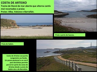 Praia e porto de Suevos.
COSTA DE ARTEIXO
Tramo de litoral de mar aberto que alterna
cantís moi recortados e praias
Praias: Alba ou Sabón, Repibelo, Salsa,
Valcovo, Combouzas e Barrañán.
Praia de Sabón.
Costa de Arteixo coa punta Langosteira ao fondo.
Un paseo peatonal e un carril para bicicletas
permite percorrer parte da costa de Arteixo desde
a praia de Sabón ata a de Barrañán.
 