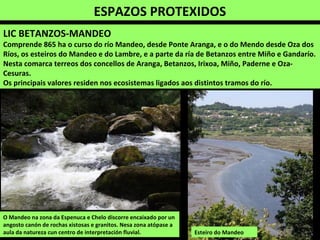 ESPAZOS PROTEXIDOS
LIC BETANZOS-MANDEO
Comprende 865 ha o curso do río Mandeo, desde Ponte Aranga, e o do Mendo desde Oza dos
Ríos, os esteiros do Mandeo e do Lambre, e a parte da ría de Betanzos entre Miño e Gandarío.
Nesta comarca terreos dos concellos de Aranga, Betanzos, Irixoa, Miño, Paderne e Oza-
Cesuras.
Os principais valores residen nos ecosistemas ligados aos distintos tramos do río.
O Mandeo na zona da Espenuca e Chelo discorre encaixado por un
angosto canón de rochas xistosas e granitos. Nesa zona atópase a
aula da natureza cun centro de interpretación fluvial. Esteiro do Mandeo
 