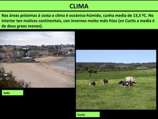 CLIMA
Nas áreas próximas á costa o clima é oceánico-húmido, cunha media de 13,3 ºC. No
interior ten matices continentais, con invernos moito máis frios (en Curtis a media é
de dous graos menos).
Curtis
Sada
 