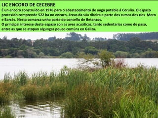 LIC ENCORO DE CECEBRE
É un encoro construído en 1976 para o abastecemento de auga potable á Coruña. O espazo
protexido comprende 522 ha no encoro, áreas da súa ribeira e parte dos cursos dos ríos Mero
e Barcés. Nesta comarca unha parte do concello de Betanzos.
O principal interese deste espazo son as aves acuáticas, tanto sedentarias como de paso,
entre as que se atopan algungas pouco comúns en Galiza.
 