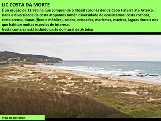 LIC COSTA DA MORTE
É un espazo de 11.885 ha que comprende o litoral coruñés dende Cabo Fisterra ata Arteixo.
Dada a diversidade da costa atopamos tamén diversidade de ecosistemas: costa rochosa,
costa areosa, dunas (fixas e móbiles), coídos, enseadas, marismas, esteiros, lagoas litorais nos
que habitan moitas especies de interese.
Nesta comarca está incluído parte do litoral de Arteixo
 