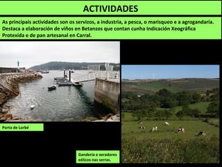 ACTIVIDADES
As principais actividades son os servizos, a industria, a pesca, o marisqueo e a agrogandaría.
Destaca a elaboración de viños en Betanzos que contan cunha Indicación Xeográfica
Protexida e de pan artesanal, especialmente en Carral.
Porto de Lorbé
Gandería e xeradores
eólicos nas serras.
Rosca de pan
tradicional.
 
