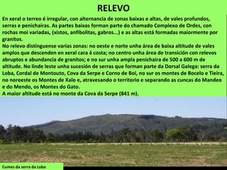 RELEVO
En xeral o terreo é irregular, con alternancia de zonas baixas e altas, de vales profundos,
serras e penichairas. As partes baixas forman parte do chamado Complexo de Ordes, con
rochas moi variadas, (xistos, anfibolitas, gabros...) e as altas está formadas maiormente por
granitos.
No relevo distínguense varias zonas: no oeste e norte unha área de baixa altitude de vales
amplos que descenden en xeral cara á costa; no centro unha área de transición con relevos
abruptos e abundancia de granitos; e no sur unha ampla penichaira de 500 a 600 m de
altitude. No linde leste unha sucesión de serras que forman parte da Dorsal Galega: serra da
Loba, Cordal de Montouto, Cova da Serpe e Corno de Boi, no sur os montes de Bocelo e Tieira,
no noroeste os Montes de Xalo e, atravesando o territorio e separando as cuncas do Mandeo
e do Mendo, os Montes do Gato.
A maior altitude está no monte da Cova da Serpe (841 m).
Cumes da serra da Loba
 