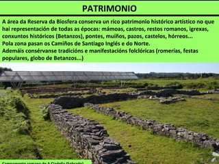PATRIMONIO
A área da Reserva da Biosfera conserva un rico patrimonio histórico artístico no que
hai representación de todas as épocas: mámoas, castros, restos romanos, igrexas,
conxuntos históricos (Betanzos), pontes, muíños, pazos, castelos, hórreos...
Pola zona pasan os Camiños de Santiago Inglés e do Norte.
Ademáis consérvanse tradicións e manifestacións folclóricas (romerías, festas
populares, globo de Betanzos...)
 
