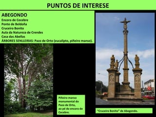ABEGONDO
Encoro de Cecebre
Ponte de Beldoña
Cruceiro Bonito
Aula da Natureza de Crendes
Casa das Abellas
ÁRBORES SENLLEIRAS: Pazo de Orto (eucalipto, piñeiro manso).
PUNTOS DE INTERESE
“Cruceiro Bonito” de Abegondo.
Piñeiro manso
monumental do
Pazo de Orto,
ao pé do encoro de
Cecebre.
 