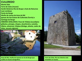 CULLEREDO
Monte Xalo
Torre de Celas (museo)
Xardín Botánico Ría do Burgo e Aula da Natureza
Juan Lembeye
Ponte do Burgo
Muíño de marea de Acea da Má
Igrexas de San Estevo de Culleredo (Tarrío) e
Santiago do Burgo
ÁRBORES SENLLEIRAS: Pazo de Vilaboa (eucaliptos
glóbulus, pinsapo, chopos, alcanforeiro, camelia,
tilleira, ulmeiros), Vilaboa (Ginkgo, ailanto, cedro do
Atlas, secuoia xigante)
Acea da Ma, muíño de mareas na ría do Burgo que
acolle un museo etnográfico.
Torre de Celas. No seu interior está
instalado un museo.
 