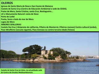 Castelo de Santa Cruz en Liáns, na actualidade sede
do Centro de Estudos Medioambientais.
OLEIROS
Igrexas de Santa María de Dexo e San Cosme de Maianca
Castelo de Santa Cruz (Centro de Educación Ambiental e sede do CEIDA).
Praias de Mera, Santa Cristina, santa Cruz, Bastiagueiro...
LIC e Monumento Natural: costa de Dexo
Porto de Lorbé
Punta, faros e Aula do mar de Mera
Lagoa de Mera
ÁRBORES SENLLEIRAS:
Castelo Sta Cruz ( Alcipreste de california, Piñeiro de Monterrei, Piñeiros mansos) Centro cultural (ombú),
Pazo Miraflores (secuoia xigante), Pazo Arenaza ou centro terceira idade (Teixos)
 
