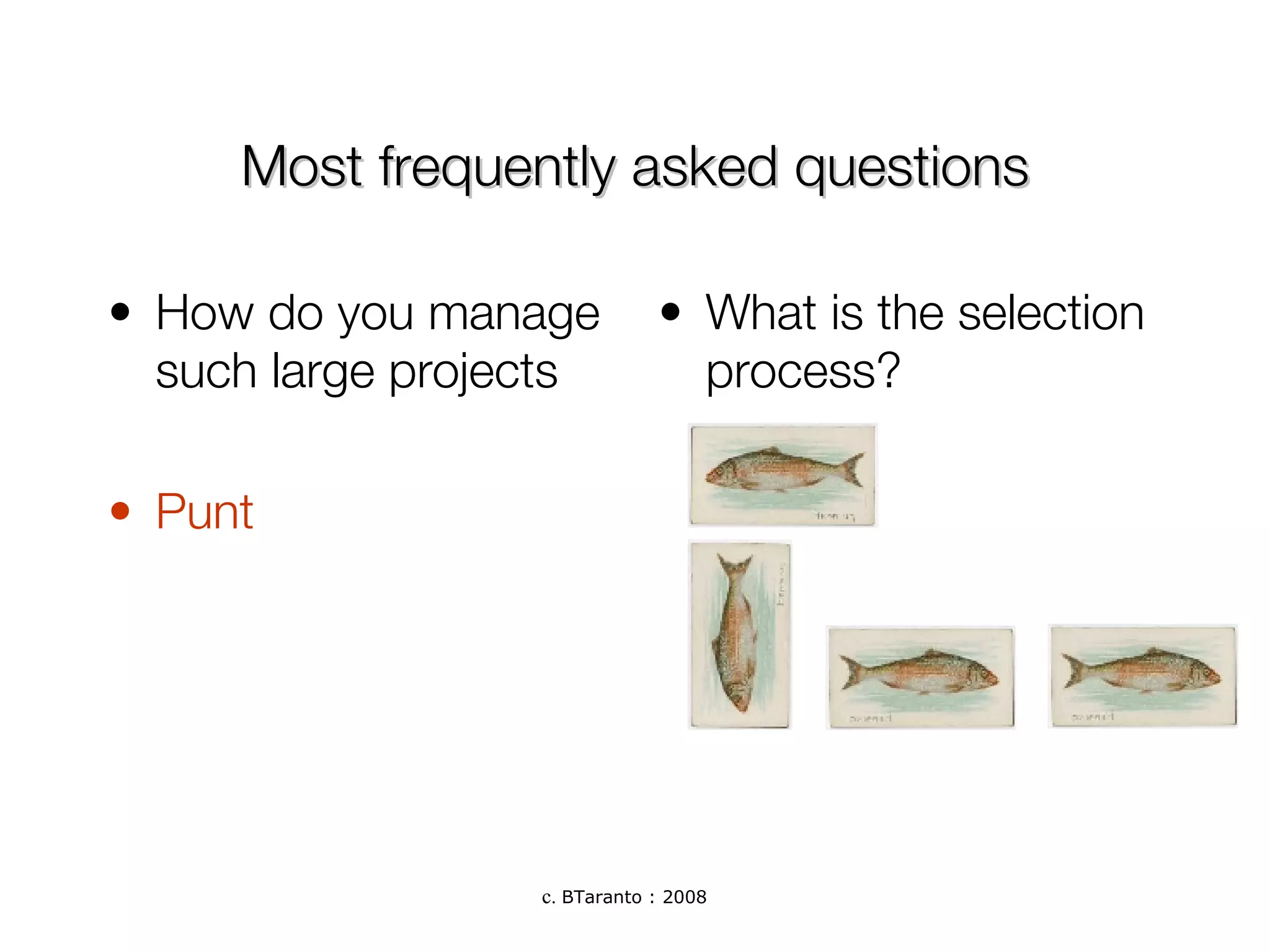Most frequently asked questions How do you manage such large projects Punt What is the selection process? 
