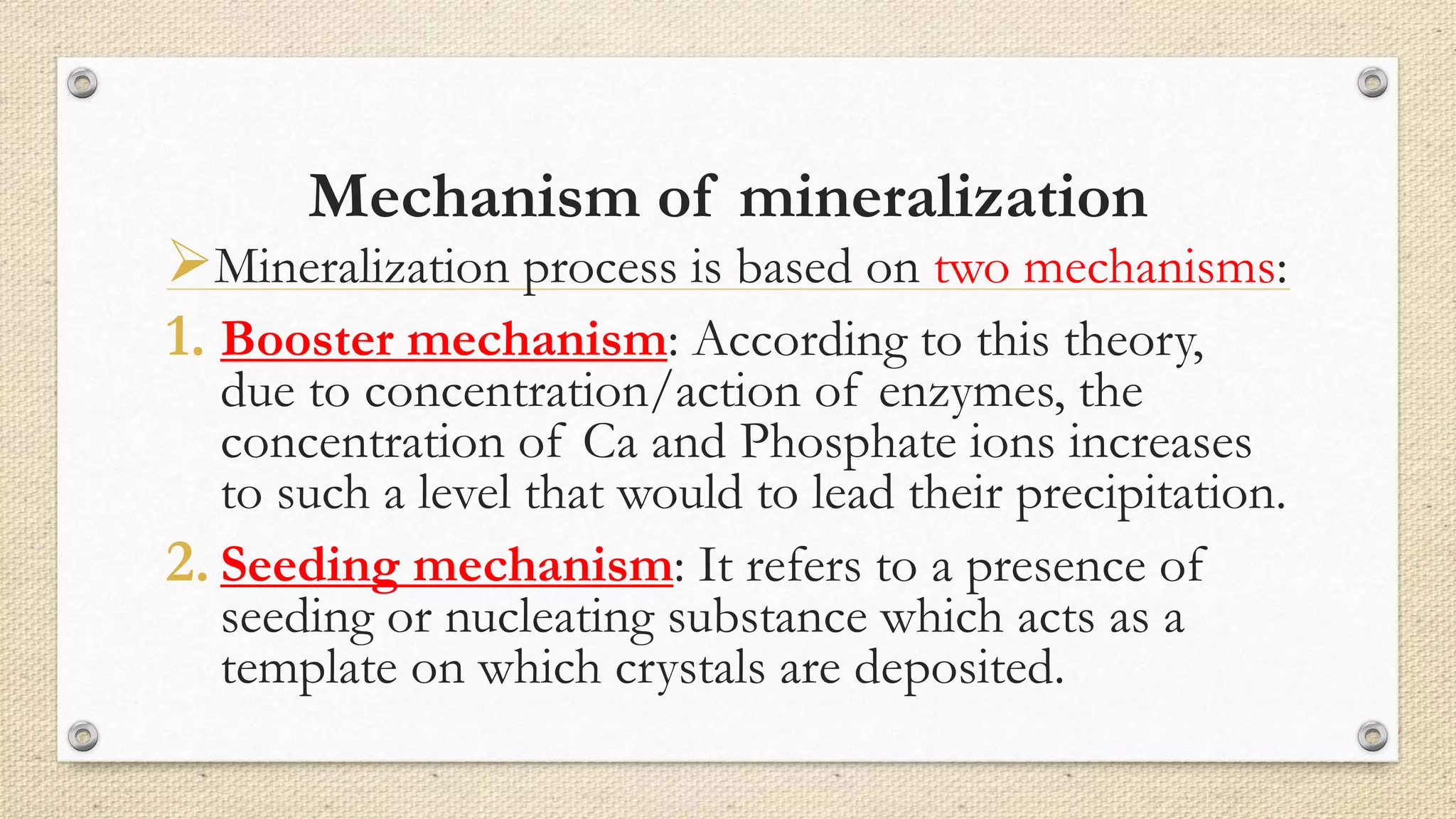 Mechanism of mineralization
Mineralization process is based on two mechanisms:
1. Booster mechanism: According to this theory,
due to concentration/action of enzymes, the
concentration of Ca and Phosphate ions increases
to such a level that would to lead their precipitation.
2. Seeding mechanism: It refers to a presence of
seeding or nucleating substance which acts as a
template on which crystals are deposited.
 