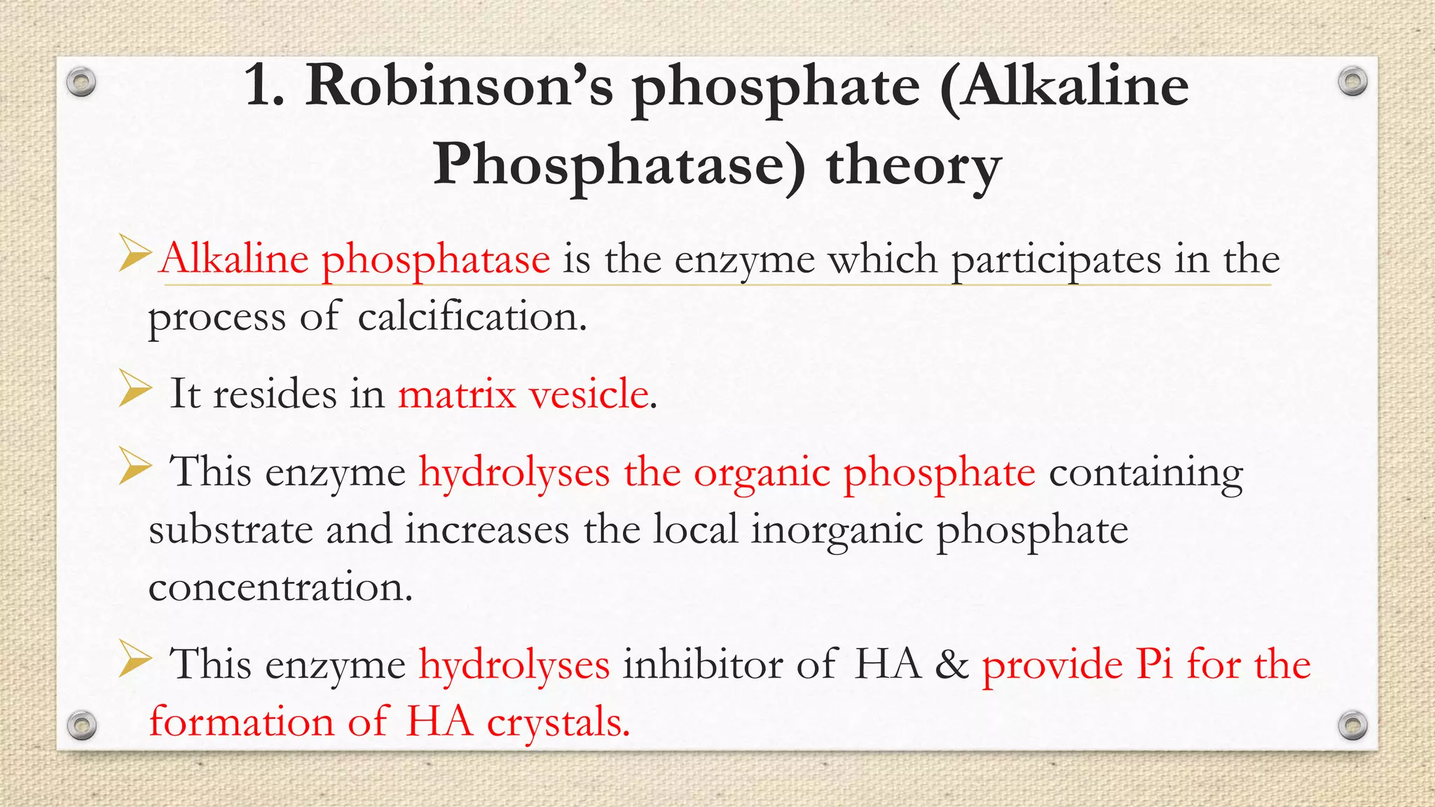 1. Robinson’s phosphate (Alkaline
Phosphatase) theory
Alkaline phosphatase is the enzyme which participates in the
process of calcification.
 It resides in matrix vesicle.
 This enzyme hydrolyses the organic phosphate containing
substrate and increases the local inorganic phosphate
concentration.
 This enzyme hydrolyses inhibitor of HA & provide Pi for the
formation of HA crystals.
 