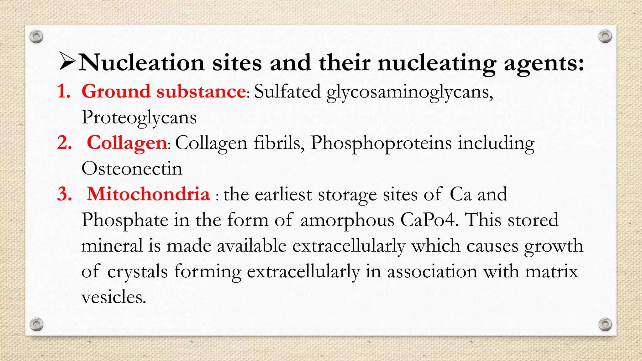 Nucleation sites and their nucleating agents:
1. Ground substance: Sulfated glycosaminoglycans,
Proteoglycans
2. Collagen: Collagen fibrils, Phosphoproteins including
Osteonectin
3. Mitochondria : the earliest storage sites of Ca and
Phosphate in the form of amorphous CaPo4. This stored
mineral is made available extracellularly which causes growth
of crystals forming extracellularly in association with matrix
vesicles.
 