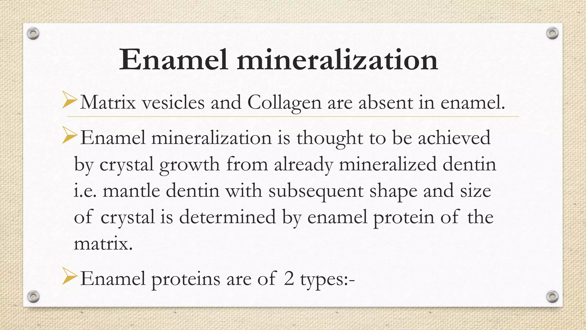 Enamel mineralization
Matrix vesicles and Collagen are absent in enamel.
Enamel mineralization is thought to be achieved
by crystal growth from already mineralized dentin
i.e. mantle dentin with subsequent shape and size
of crystal is determined by enamel protein of the
matrix.
Enamel proteins are of 2 types:-
 