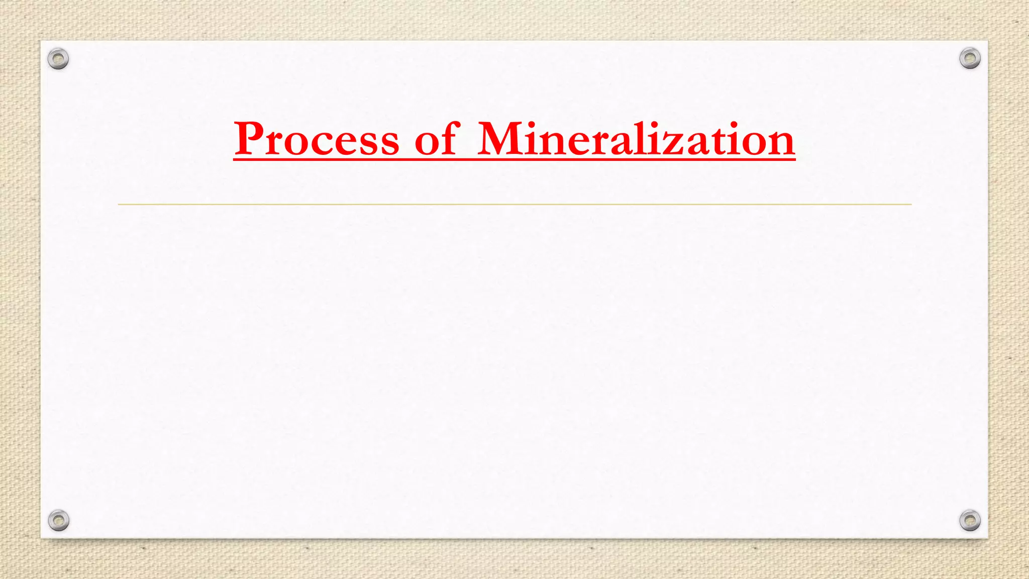 Process of Mineralization
 