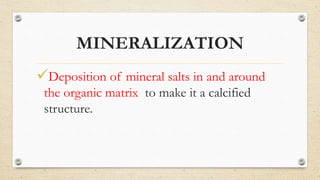 Theories of mineralization | PPTX