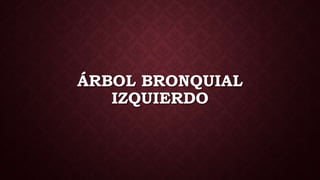 ÁRBOL BRONQUIAL
IZQUIERDO
 
