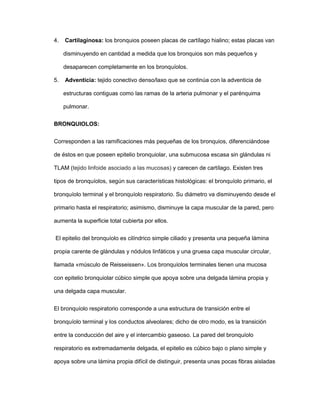 4. Cartilaginosa: los bronquios poseen placas de cartílago hialino; estas placas van
disminuyendo en cantidad a medida que los bronquios son más pequeños y
desaparecen completamente en los bronquíolos.
5. Adventicia: tejido conectivo denso/laxo que se continúa con la adventicia de
estructuras contiguas como las ramas de la arteria pulmonar y el parénquima
pulmonar.
BRONQUIOLOS:
Corresponden a las ramificaciones más pequeñas de los bronquios, diferenciándose
de éstos en que poseen epitelio bronquiolar, una submucosa escasa sin glándulas ni
TLAM (tejido linfoide asociado a las mucosas) y carecen de cartílago. Existen tres
tipos de bronquíolos, según sus características histológicas: el bronquíolo primario, el
bronquíolo terminal y el bronquíolo respiratorio. Su diámetro va disminuyendo desde el
primario hasta el respiratorio; asimismo, disminuye la capa muscular de la pared, pero
aumenta la superficie total cubierta por ellos.
El epitelio del bronquíolo es cilíndrico simple ciliado y presenta una pequeña lámina
propia carente de glándulas y nódulos linfáticos y una gruesa capa muscular circular,
llamada «músculo de Reisseissen». Los bronquíolos terminales tienen una mucosa
con epitelio bronquiolar cúbico simple que apoya sobre una delgada lámina propia y
una delgada capa muscular.
El bronquíolo respiratorio corresponde a una estructura de transición entre el
bronquíolo terminal y los conductos alveolares; dicho de otro modo, es la transición
entre la conducción del aire y el intercambio gaseoso. La pared del bronquíolo
respiratorio es extremadamente delgada, el epitelio es cúbico bajo o plano simple y
apoya sobre una lámina propia difícil de distinguir, presenta unas pocas fibras aisladas
 