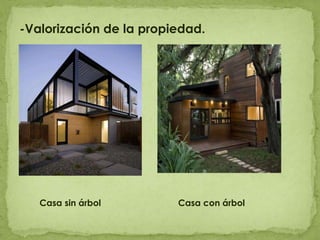 -Valorización de la propiedad.      Casa sin árbol      Casa con árbol