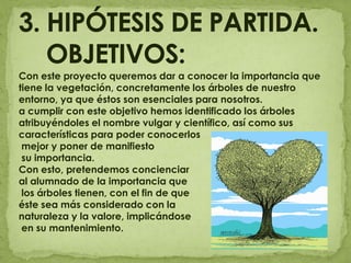 3. HIPÓTESIS DE PARTIDA.     OBJETIVOS:Con este proyecto queremos dar a conocer la importancia que tiene la vegetación, concretamente los árboles de nuestro entorno, ya que éstos son esenciales para nosotros.a cumplir con este objetivo hemos identificado los árboles atribuyéndoles el nombre vulgar y científico, así como sus características para poder conocerlos mejor y poner de manifiesto su importancia.Con esto, pretendemos concienciar al alumnado de la importancia que los árboles tienen, con el fin de que éste sea más considerado con la naturaleza y la valore, implicándose en su mantenimiento.