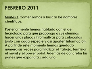 FEBRERO 2011 Martes 1:Comenzamos a buscar los nombres científicos. Posteriormente hemos hablado con el de tecnología para que proponga a sus alumnos hacer unas placas informativas para colocarlas junto con cada especie y así aporten información.A partir de este momento hemos quedado numerosas veces para finalizar el trabajo, terminar el mural y el powerpoint. Además de concretar las partes que expondrá cada uno.