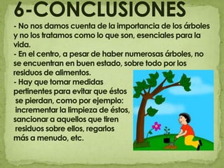 6-CONCLUSIONES- No nos damos cuenta de la importancia de los árboles y no los tratamos como lo que son, esenciales para la vida.- En el centro, a pesar de haber numerosas árboles, no se encuentran en buen estado, sobre todo por los residuos de alimentos.- Hay que tomar medidas pertinentes para evitar que éstos se pierdan, como por ejemplo: incrementar la limpieza de éstos, sancionar a aquellos que tiren residuos sobre ellos, regarlos más a menudo, etc.