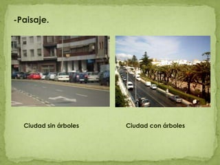 -Paisaje.     Ciudad sin árboles     Ciudad con árboles