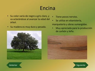 Encina
• Su color varía de negro a gris claro, y • Tiene pocos nervios.
  va aclarándose al avanzar la edad del
                                          • Se utiliza en ebanistería,
  árbol.
                                          marquetería y obras sumergidas.
• Su madera es muy dura y pesada.         • Muy apreciada para la producción
                                            de carbón y leña.




 Anterior                                                    Siguiente
 