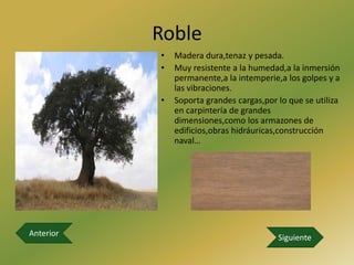 Roble
           •   Madera dura,tenaz y pesada.
           •   Muy resistente a la humedad,a la inmersión
               permanente,a la intemperie,a los golpes y a
               las vibraciones.
           •   Soporta grandes cargas,por lo que se utiliza
               en carpintería de grandes
               dimensiones,como los armazones de
               edificios,obras hidráuricas,construcción
               naval…




Anterior                                  Siguiente
 