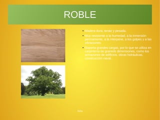 Júlia
ROBLE
● Madera dura, tenaz y pesada.
● Muy resistente a la humedad, a la inmersión
permamente, a la interperie, a los golpes y a las
vibraciones.
● Soporta grandes cargas, por lo que se utiliza en
carpintería de graneds dimensiones, como los
armazones de edificios, obras hidráulicas,
construcción naval..
 