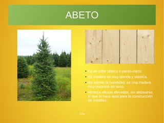 Júlia
ABETO
●
Es de color blanco o pardo-rojizo.
●
Su madera es muy blanda y elástica.
●
No admite la humedad: es una madera
muy durarera en seco.
●
Alcanza alturas elevadas, sin alabearse,
lo que la hace apta para la construcción
de mástiles.
 