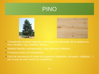 Júlia
PINO
● Comprende muchas especies, con lo que la coloración de la madera es
muy variable: roja, amarilla, blanca...
●
Madera blanda y semipresada, muy resinosa y elástica.
●
Presenta nudos con frecuéncia.
●
Fácil de mecanizar en todos los aspectos (taladrado, torneado, cepillado... )
por lo que se usa mucho en carpintería.
 