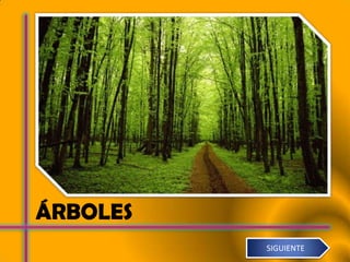 ÁRBOLES.
           SIGUIENTE
 