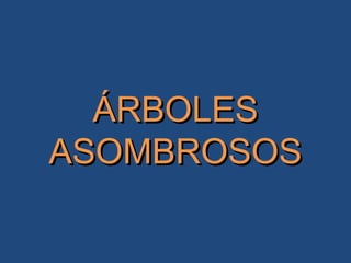 ÁRBOLESÁRBOLES
ASOMBROSOSASOMBROSOS
 