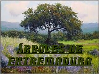 ..
Árboles deÁrboles de
ExtremaduraExtremadura
 