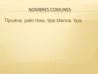 Nombres comunesTipuana, palo rosa, tipa blanca, tipa.
