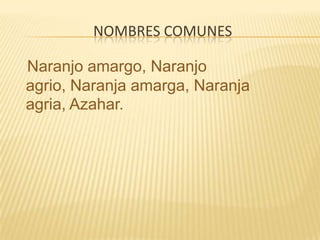 Nombres comunes   Naranjo amargo, Naranjo agrio, Naranja amarga, Naranja agria, Azahar.