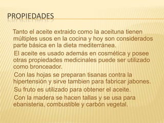 propiedadesTanto el aceite extraido como la aceituna tienen múltiples usos en la cocina y hoy son considerados parte básica en la dieta mediterránea.    El aceite es usado además en cosmética y posee otras propiedades medicinales puede ser utilizado como bronceador.    Con las hojas se preparan tisanas contra la hipertensión y sirve tambien para fabricar jabones.    Su fruto es utilizado para obtener el aceite.    Con la madera se hacen tallas y se usa para ebanisteria, combustible y carbón vegetal.