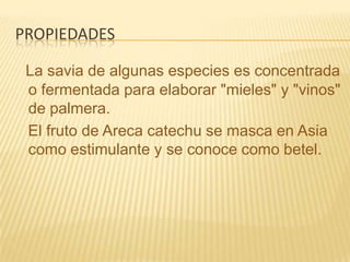 propiedadesLa savia de algunas especies es concentrada o fermentada para elaborar "mieles" y "vinos" de palmera.   El fruto de Areca catechu se masca en Asia como estimulante y se conoce como betel.