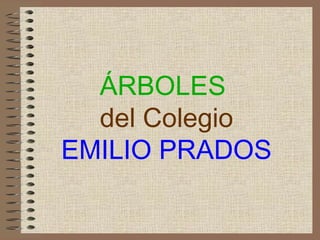 ÁRBOLES  del Colegio EMILIO PRADOS 