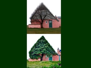 áRboles extraordinarios