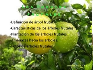 Lo s á r b o l e s
         frutales
·Definición de árbol frutal.
·Características de los árboles frutales.
·Plantación de los árboles frutales.
·Amenazas hacia los árboles.
·Fotos de árboles frutales.
 